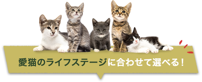 愛猫のライフステージに合わせて選べる！