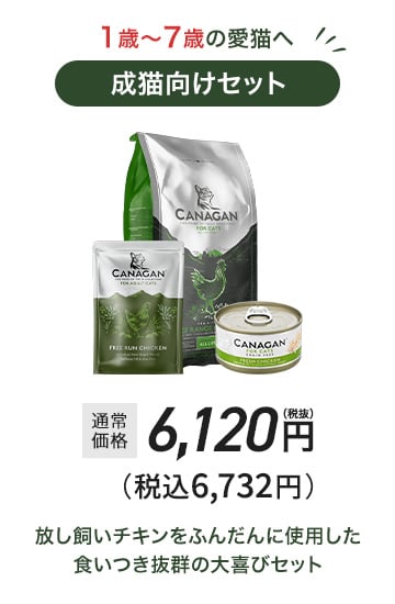 成猫向けセット